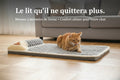 Lit pour Chat Douillet — Mousse à Mémoire de Forme, Coussin Épais - Catounet