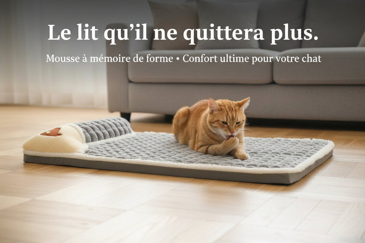Catounet