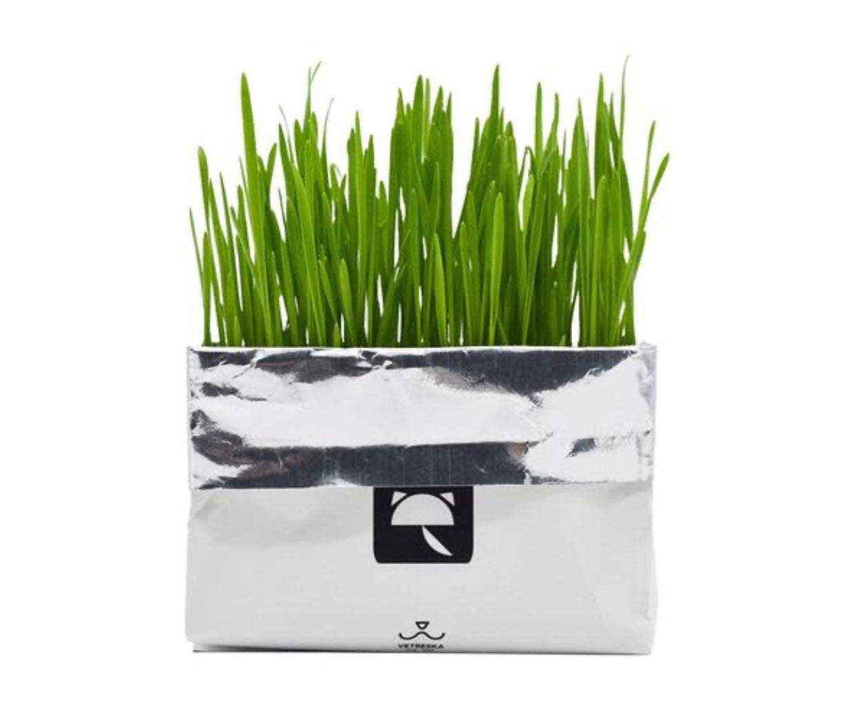 [SALE] All-In-One Cat Grass Kit Woof & Meow