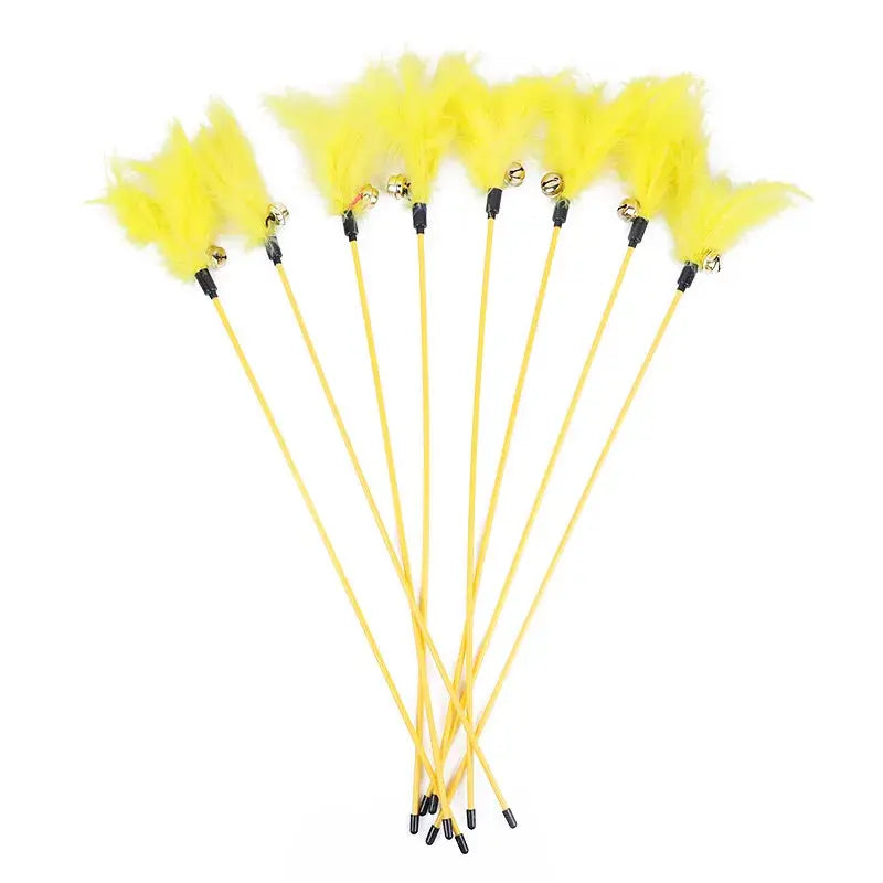 Cannes à Pêche Interactives pour Chat Cashymart