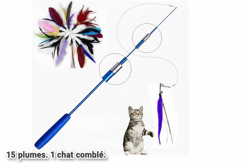 Canne à Pêche Interactive avec Plumes pour Chat - Catounet