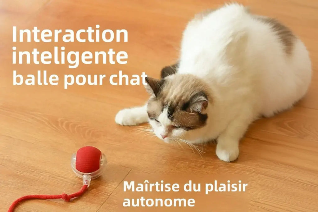 Balle Rechargeable Interactive pour Chat Cashymart