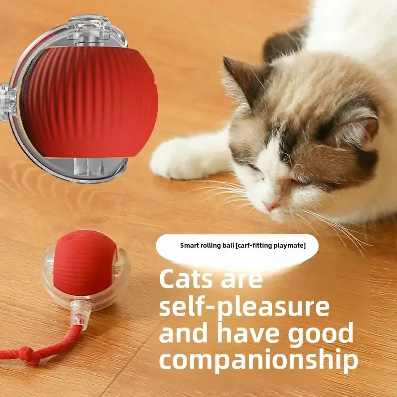 Balle Rechargeable Interactive pour Chat Cashymart