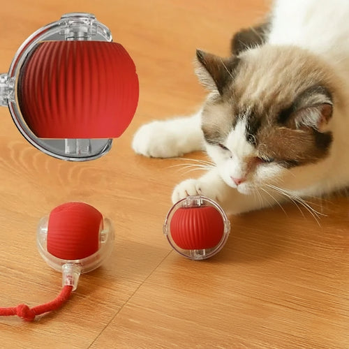 Balle Rechargeable Interactive pour Chat - Catounet