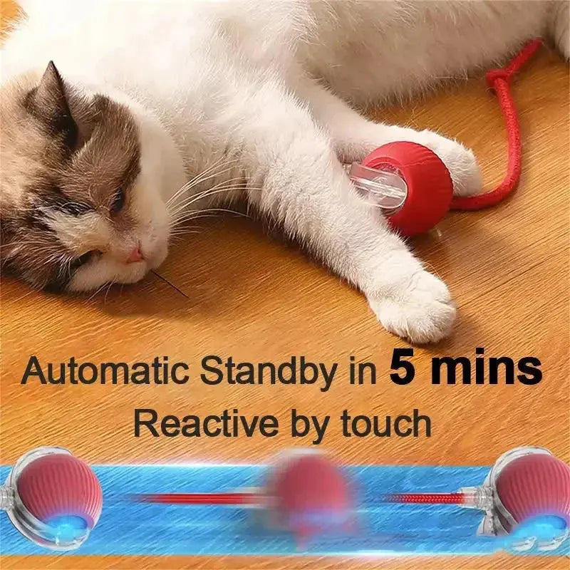 Balle Rechargeable Interactive pour Chat Cashymart