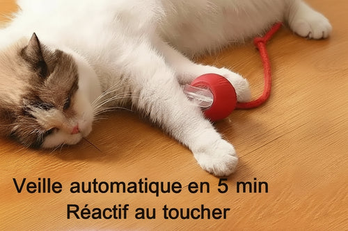 Balle Rechargeable Interactive pour Chat - Catounet