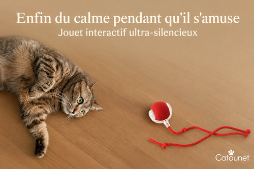 Catounet