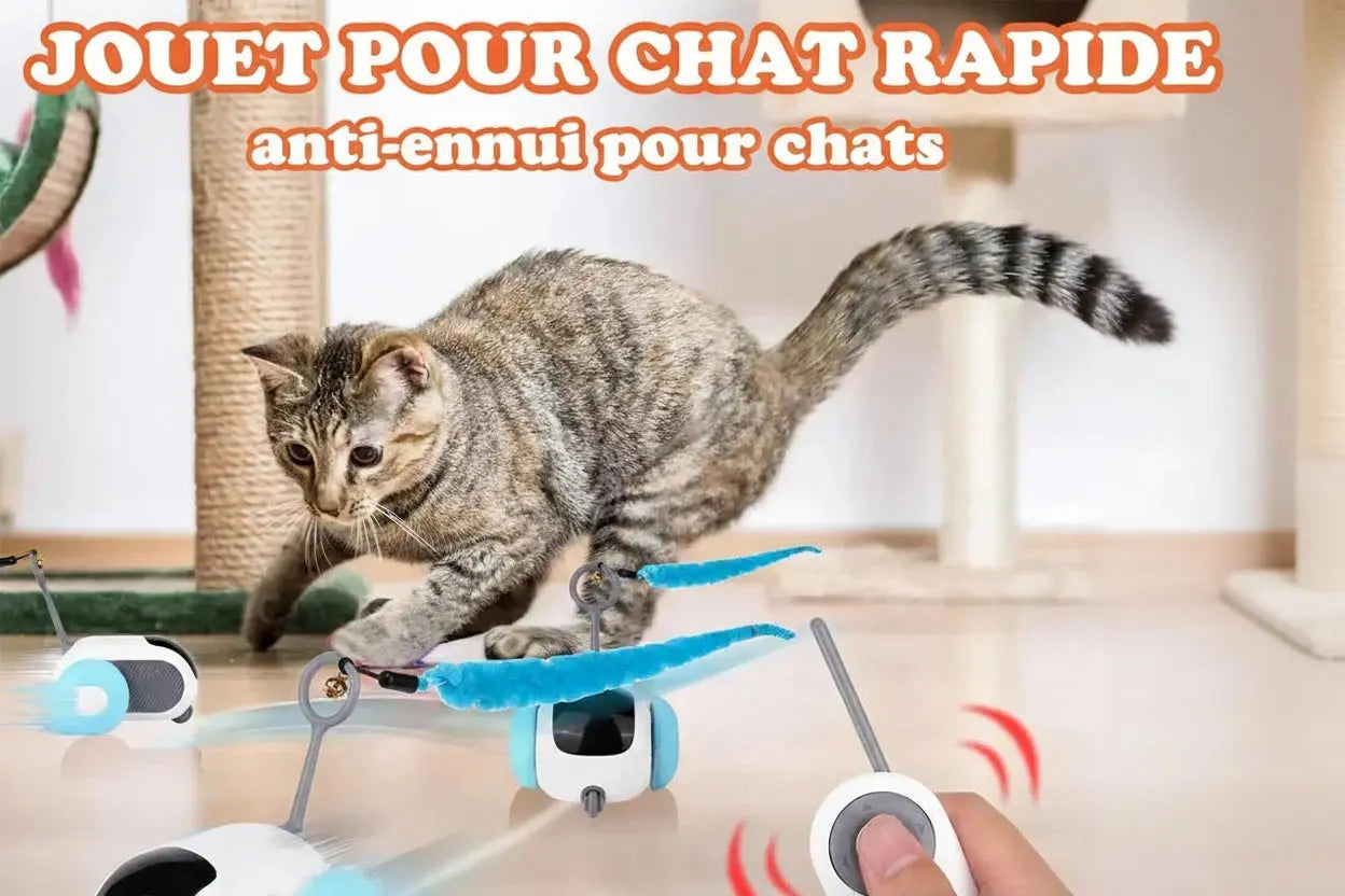 Jouet Robotique Interactif pour Chat Cashymart