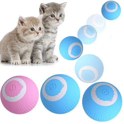 Balle Intelligente Interactive pour Chat Cashymart