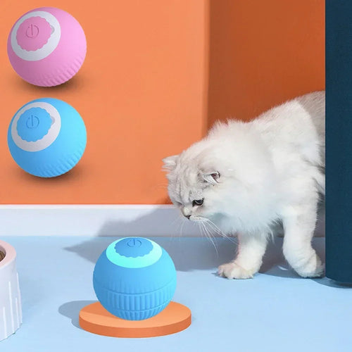 Balle Intelligente Interactive pour Chat Cashymart