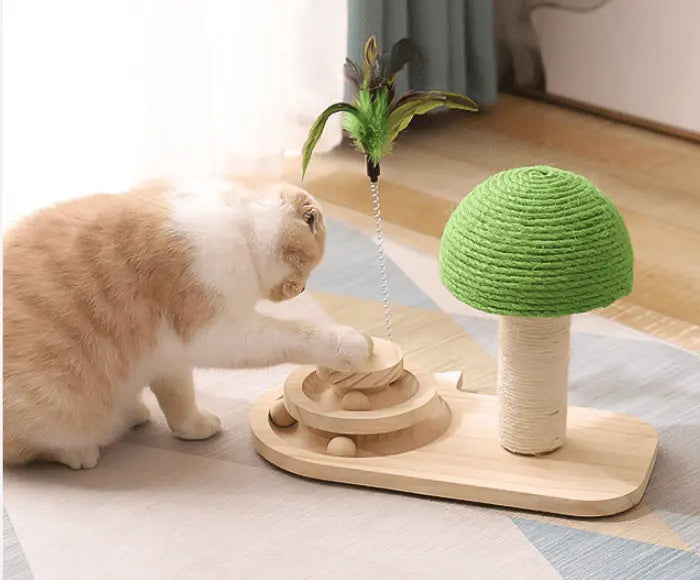 Jouet en Bois Interactif pour Chat Cashymart