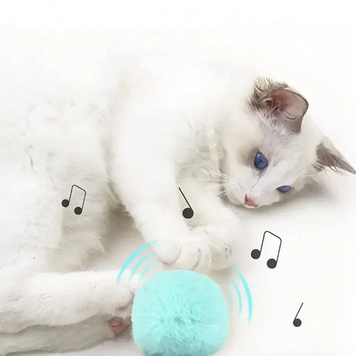 Balle Interactive en Peluche pour Chat Cashymart