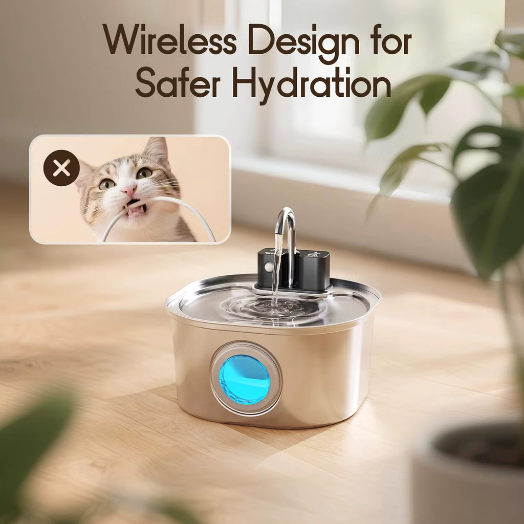 Distributeur d'Eau Intelligent USB en Inox pour Chat - Fontaine Capteur Automatique