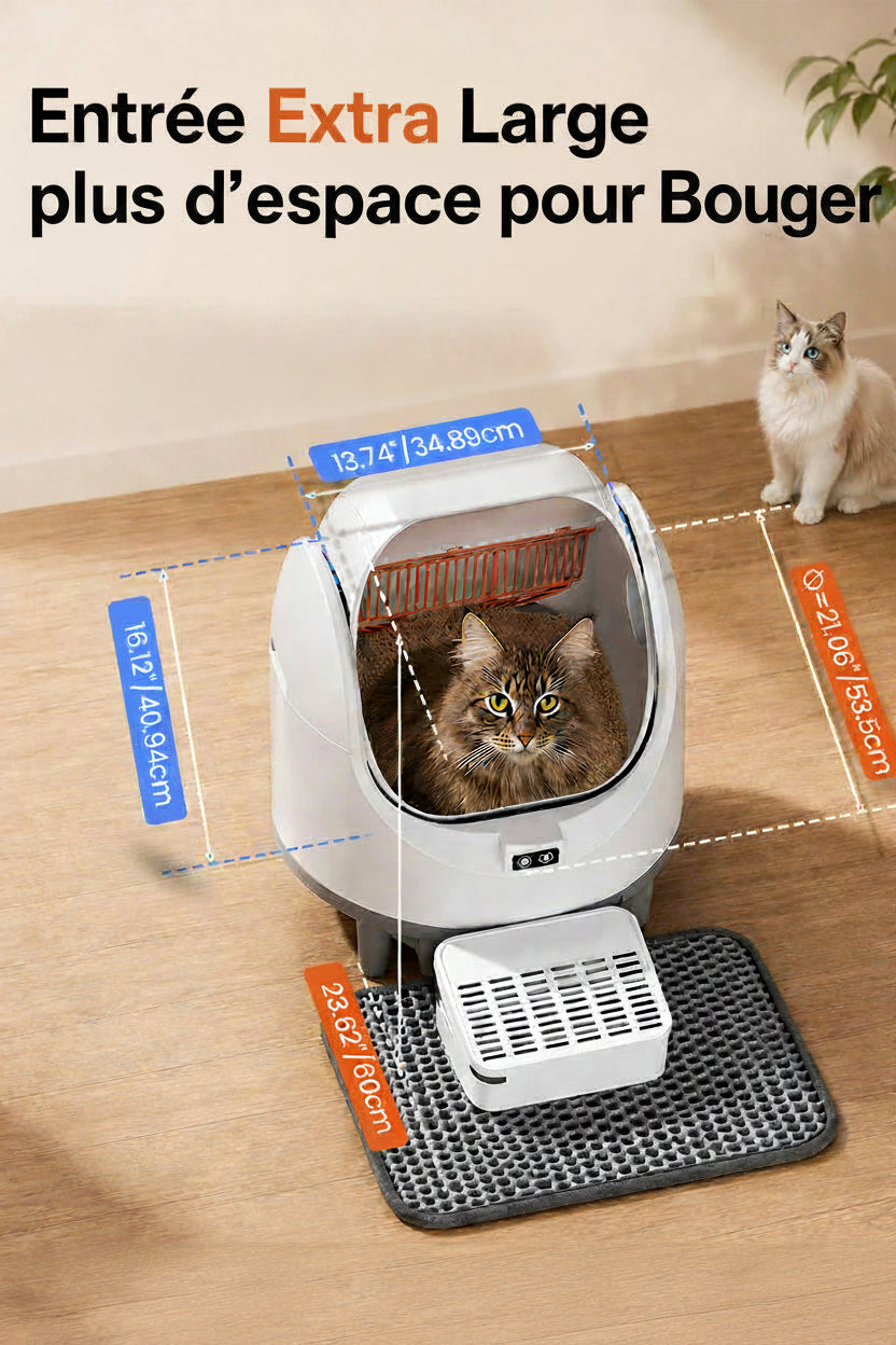 Litière Automatique Cityflee — Open Top, Ultra-Silencieuse & Connectée