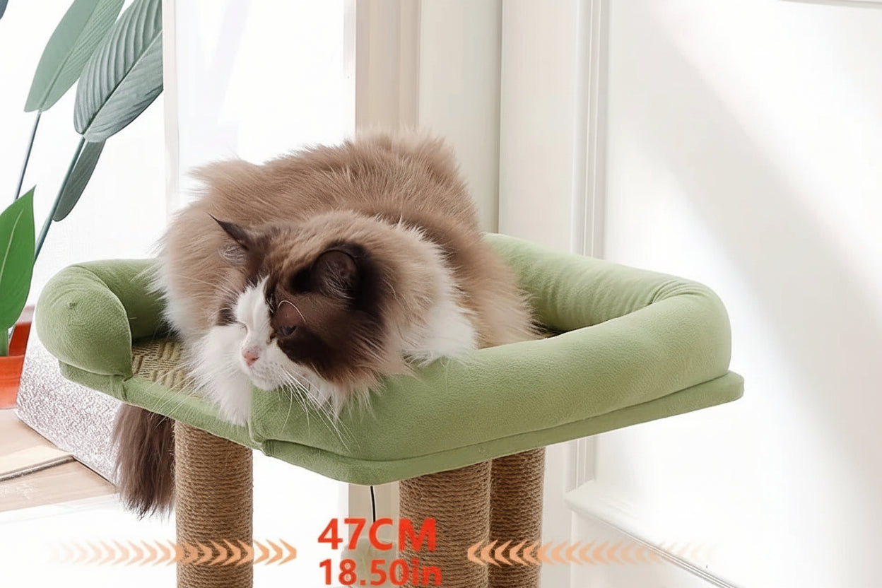 Arbre à Chat 2 Niveaux — Sisal & Peluche, Perchoirs Moelleux - Catounet