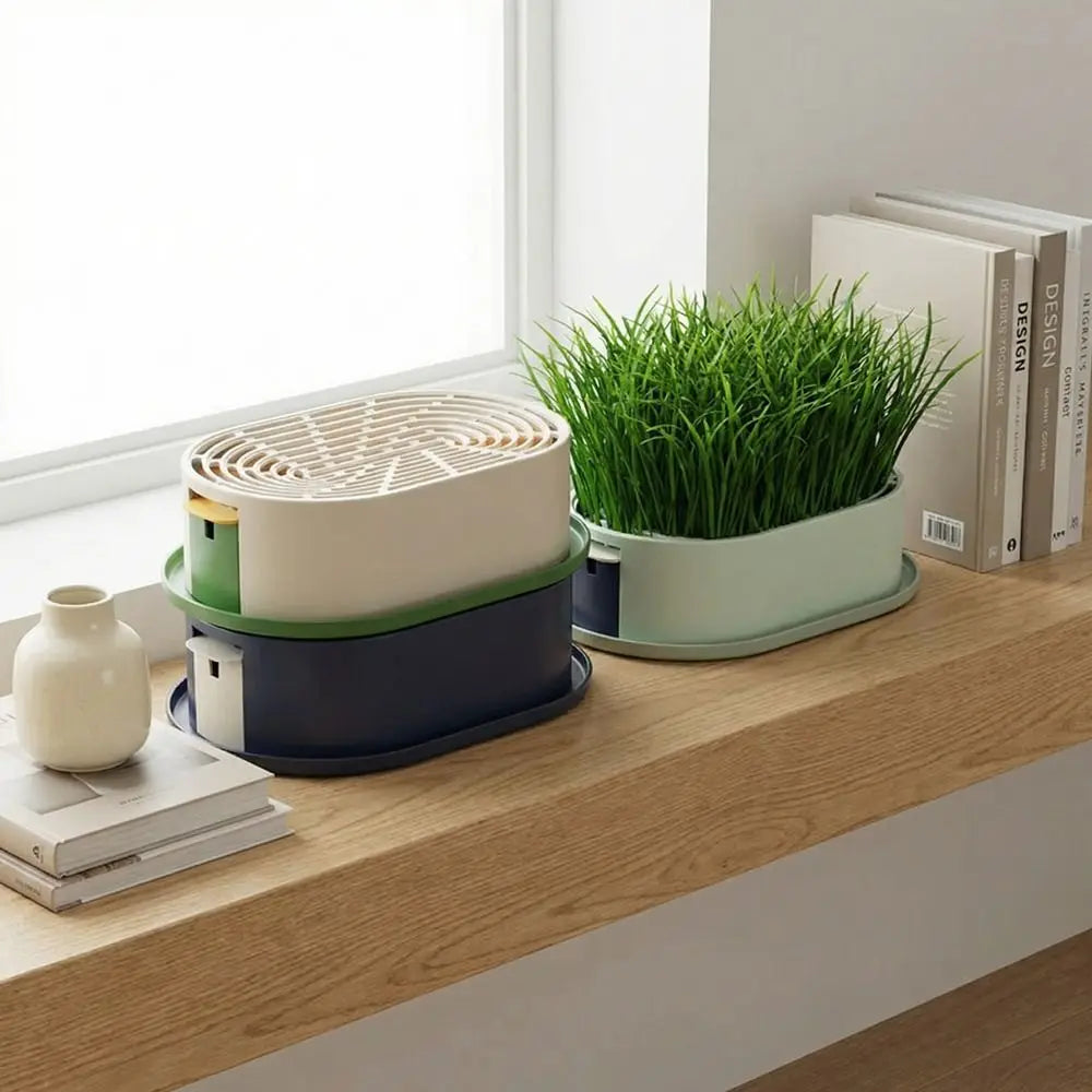 Kit Herbe à Chat — Plateau de Germination Hydroponique Anti-Débordement - Catounet