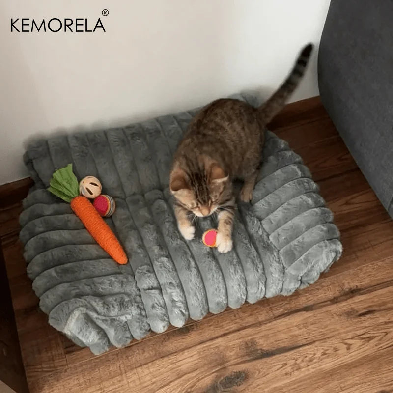 Canapé Moelleux pour Chat — Sofa Velours Doux