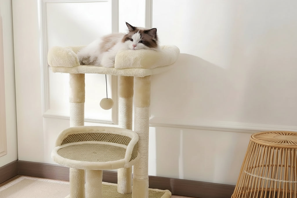 Arbre à Chat 2 Niveaux — Sisal & Peluche, Perchoirs Moelleux - Catounet