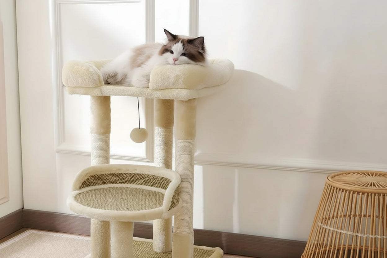 Arbre à Chat 2 Niveaux — Sisal & Peluche, Perchoirs Moelleux - Catounet