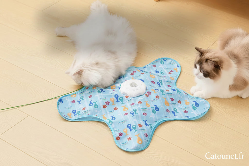 Jouet Interactif Plumes Cachées pour Chat — Tapis Électrique USB