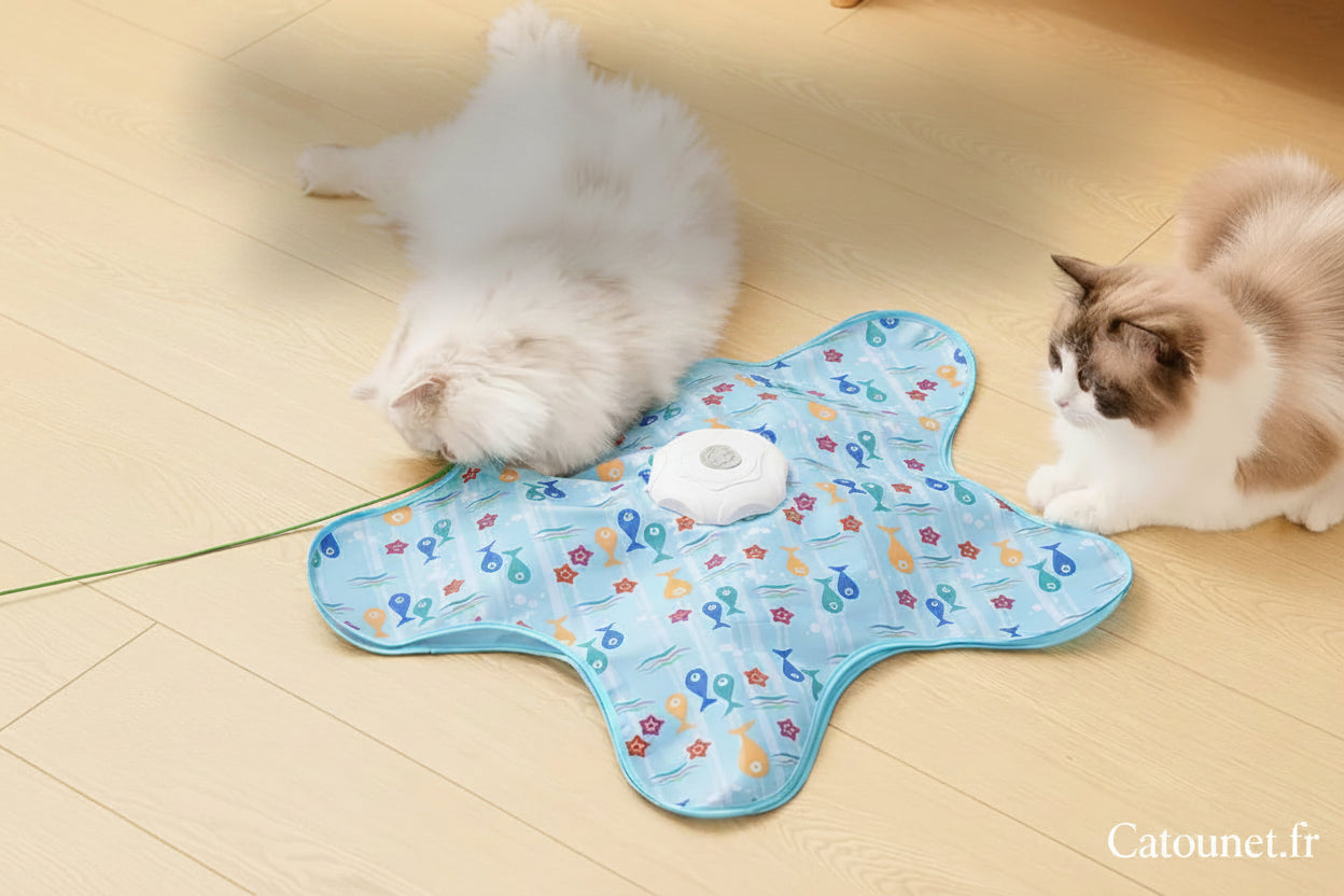 Jouet Interactif Plumes Cachées pour Chat — Tapis Électrique USB