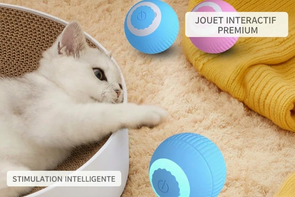 Catounet