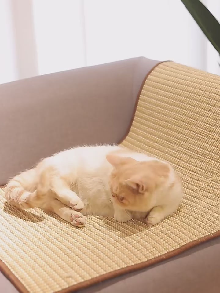 Griffoir en Sisal pour Chat — Protection Canapé, Bambou Naturel
