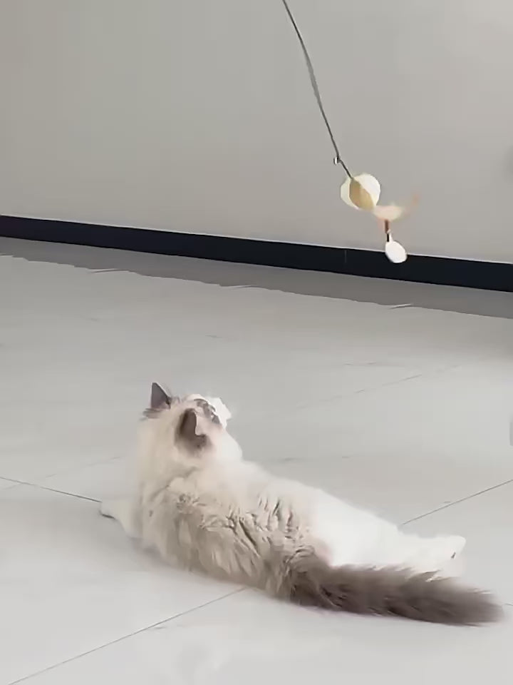 Jouet en Bois Interactif Wonderland pour Chat