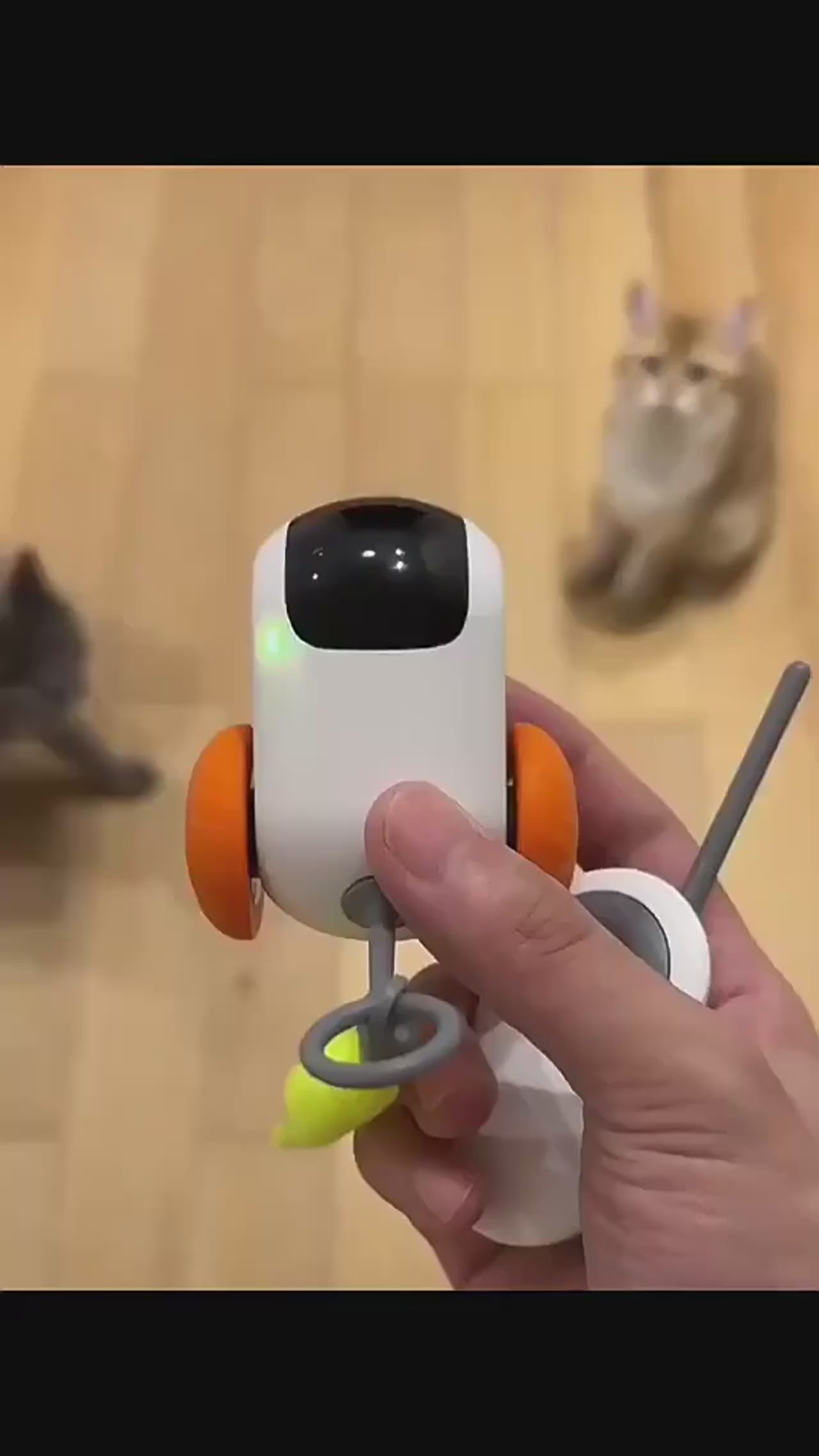 Jouet Robotique Interactif pour Chat