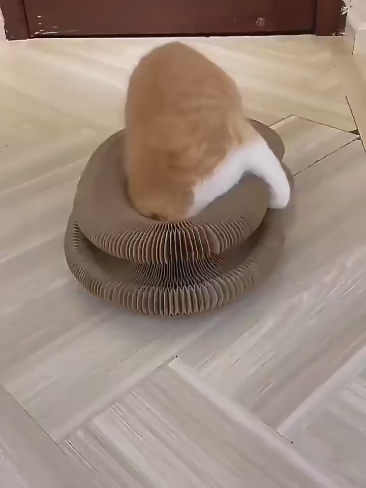 Griffoir en Carton Flexiscratch pour Chat