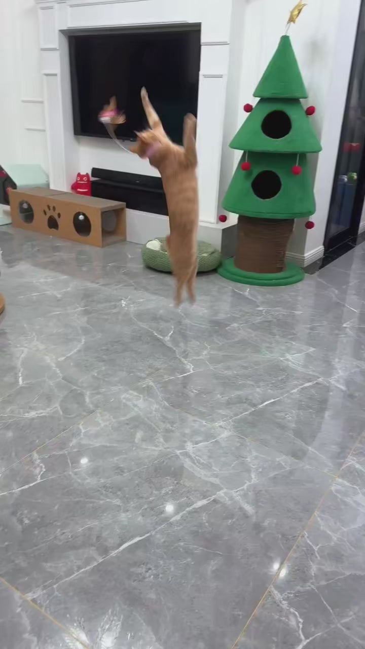 Jouet Collier Amusant avec Plumes pour Chat