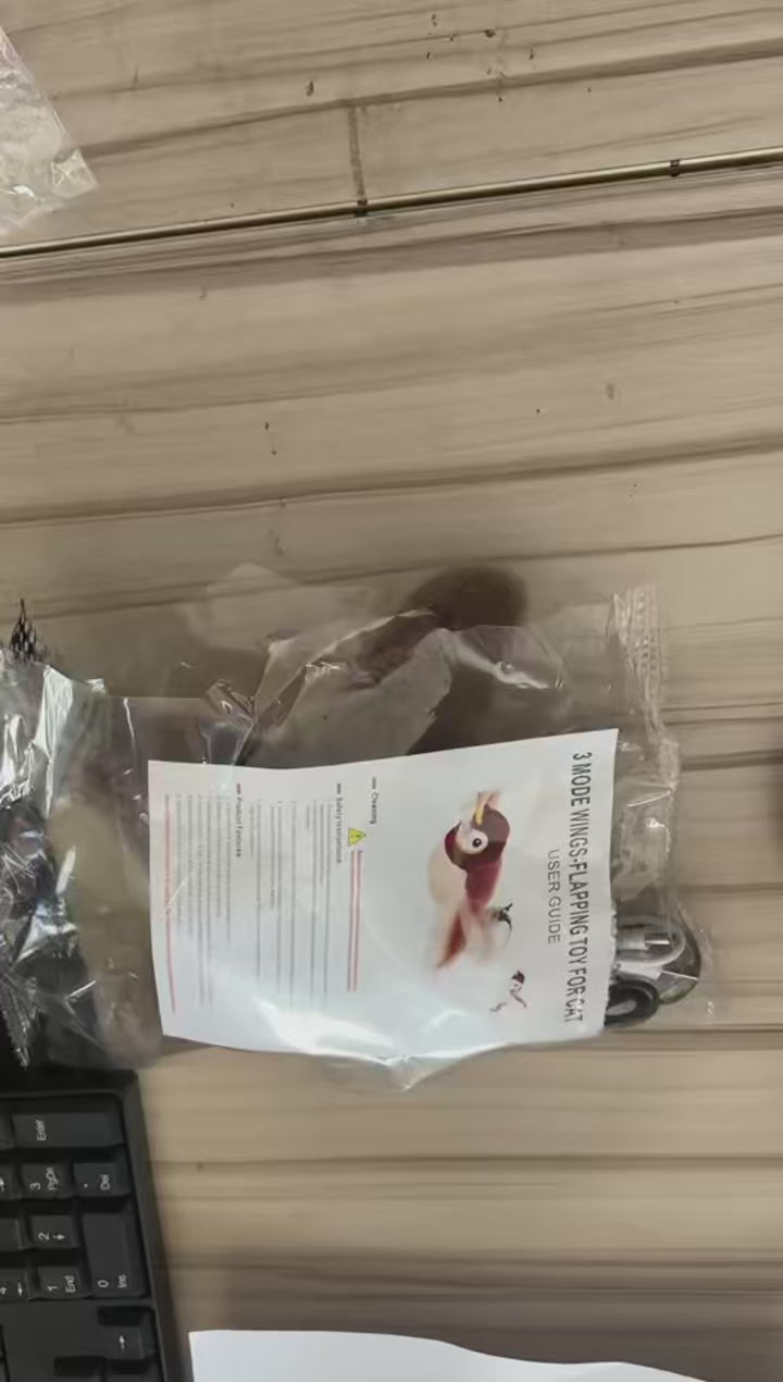Jouet Oiseau Interactif pour Chat — Chant & Vibration au Toucher