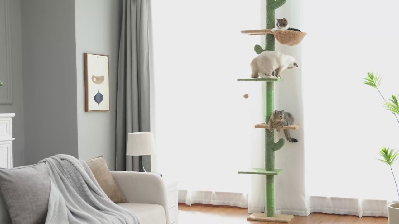 Arbre à Chat Sol-Plafond Style Cactus — 5 Niveaux, Hamac & Griffoir
