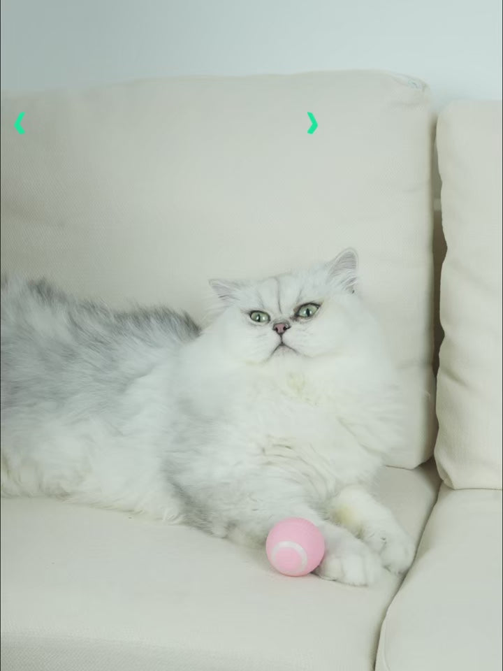 Balle Interactive Intelligente pour Chat