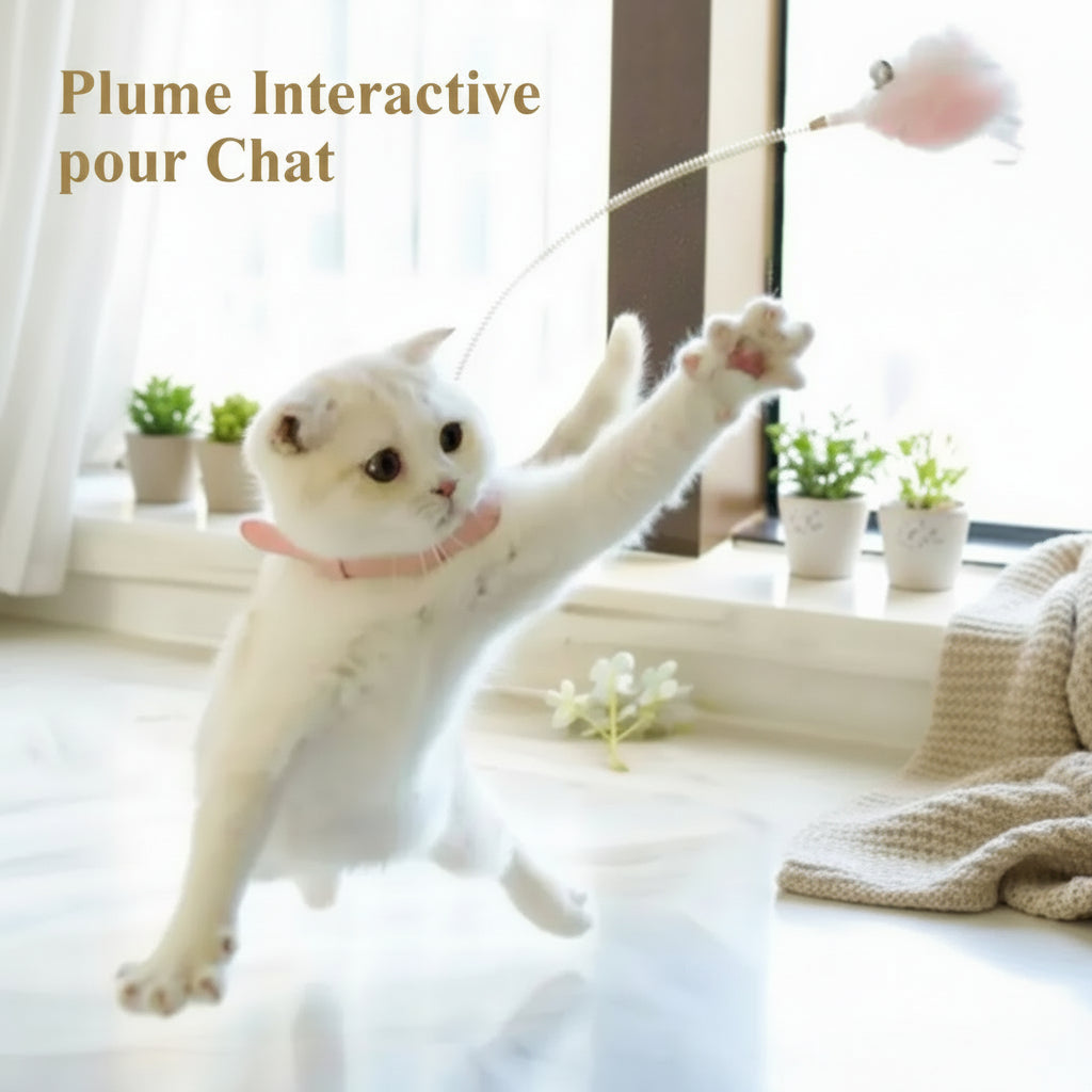 Jouet Collier Amusant avec Plumes pour Chat Vimost Shop