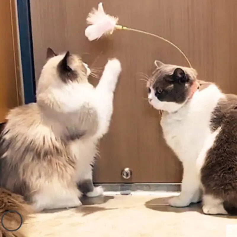 Jouet Collier Amusant avec Plumes pour Chat Vimost Shop